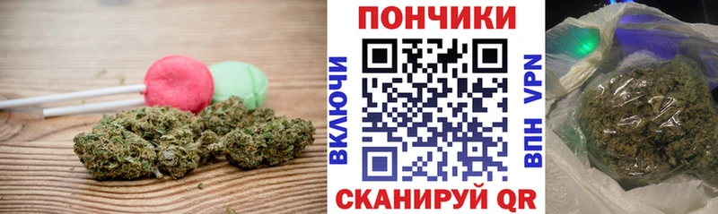 где можно купить   сайты даркнета наркотические препараты  Cannafood конопля  Ростов 