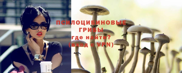 прущая мука Армянск
