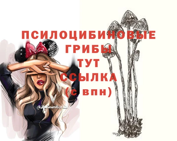 герыч Майский