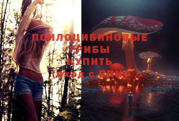 ешки Арсеньев