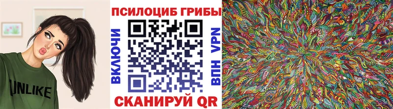 даркнет сайт  Ростов  Псилоцибиновые грибы Magic Shrooms 